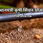 xr:d:DAF6O9GzAaU:3,j:67969867088112983,t:24011811