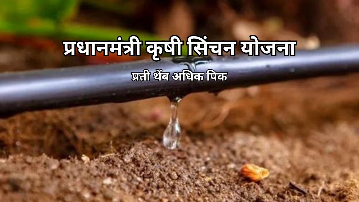 xr:d:DAF6O9GzAaU:3,j:67969867088112983,t:24011811